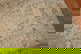 item-207384288=10