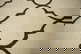 item-207384292=5