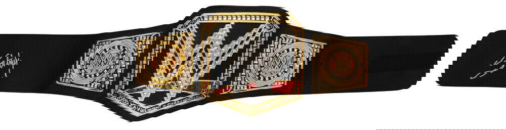 Sting Signed WWE Championship Replica Belt with COA: Sting Signed WWE Championship Replica Belt with COA Sting signed WWE heavyweight champion black replica toy wrestling belt. Item comes with a tamper-proof numbered hologram and Certificate of