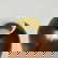 item-207832074=4