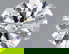 item-208013052=1