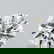 item-208013055=1