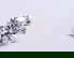 item-208013057=1