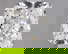 item-208013058=1