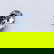 item-208013088=1