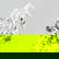 item-208020851=1
