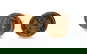 item-208667409=1
