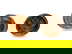 item-208667409=3