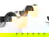 item-208667409=5