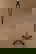 item-209171155=2