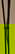 item-209171155=5