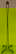 item-209171155=7