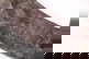 item-209179011=6