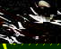item-209272321=1