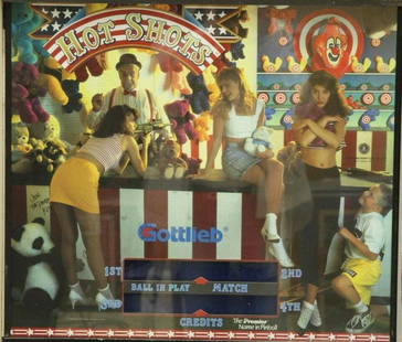 HOT SHOTS Pinball Custom LED Lighting Upgrade Kit with Placement Charts: HOT SHOTS Pinball Custom LED Lighting Upgrade Kit with Placement Charts Upgrade your gaming experience with the HOT SHOTS Pinball LED Lighting Kit. This custom LED kit includes all the necessary LED b