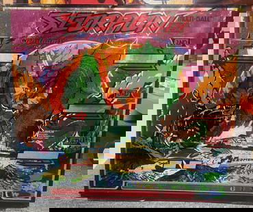 Williams 1980 Scorpion Pinball Backglass Vintage Collectible: Williams 1980 Scorpion Pinball Backglass Vintage Collectible This SCORPION Pinball Backglass, produced by Williams in 1980, is a vintage piece that adds a touch of nostalgia to any game room. Featurin