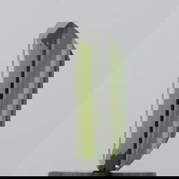 Loose Diamond - BAGUETTE 0.75ct Fancy Deep Green VS1