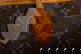 item-210125979=6