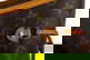 item-210125979=7