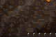 item-210125979=9