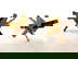 item-210134120=3