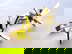 item-210134120=4