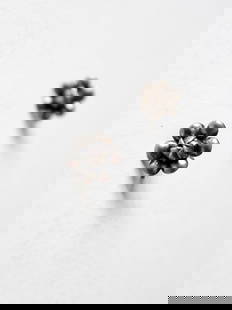 Vintage Sterling Silver Floral Blossom Screw Back Earrings: Vintage Sterling Silver Floral Blossom Screw Back Earrings Adorn your ears with these charming vintage sterling silver floral earrings, featuring a beautiful blossom design that adds a romantic touch.