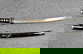 item-210359372=2