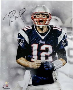 Tom Brady Autographed 16x20 Photo New England Patriots Fanatics Authentic: Tom Brady Autographed 16x20 Photo New England Patriots Fanatics Authentic Celebrate the legendary career of Tom Brady with this autographed 16x20 photo featuring him in action with the New England Pat