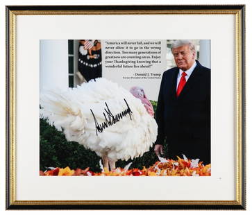 Rare Donald Trump Full Name Signed 20x30 Photo with JSA COA: Rare Donald Trump Full Name Signed 20x30 Photo with JSA COA This magnificent large poster features the full name signature of President Donald Trump, measuring 20x30 inches. Authenticated by James Spe