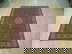item-210803321=2