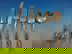 item-210803851=2