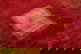 item-210815168=9