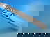 item-210817929=4