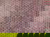 item-210822903=3