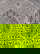 item-210824158=6
