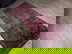 item-210825880=3