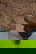 item-210826271=8