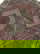 item-210839016=4