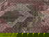 item-210839016=6