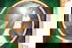item-210842959=3