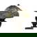 item-211126811=1