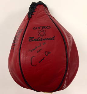 Muhammad Ali Signed Speedbag with PSA/DNA Authentication: Muhammad Ali Signed Speedbag with PSA/DNA Authentication This is an original signed speedbag by the legendary boxer Muhammad Ali, also known as Cassius Clay. The item is authenticated by PSA/DNA, ensu