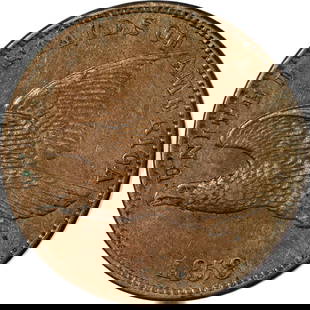 1858 Flying Eagle Cent ANACS AU55 Small Letters Strong Strike: 1858 Flying Eagle Cent ANACS AU55 Small Letters Strong Strike This 1858 Flying Eagle Cent features small letters and is certified by ANACS with a grade of AU55, showcasing superb eye appeal and a