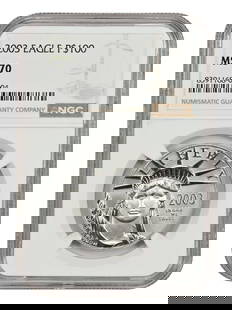 2003 NGC MS70 $100 Statue of Liberty Platinum Eagle Coin: 2003 NGC MS70 $100 Statue of Liberty Platinum Eagle Coin This stunning 2003 $100 Statue of Liberty coin is certified by NGC with a perfect grade of MS70, making it a premier addition for any collector