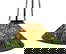 item-211289704=1