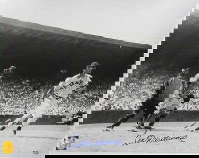 Ted Williams Autographed 16x20 Photo Boston Red Sox PSA/DNA: Ted Williams Autographed 16x20 Photo Boston Red Sox PSA/DNA Offered is a Ted Williams HOF Signed/Autographed 16x20 Photo Boston Red Sox. This photo is authenticated by PSA/DNA and includes their Tampe