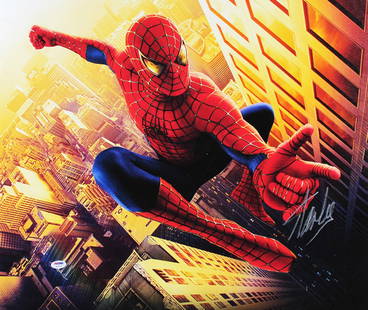 Stan Lee Signed 20x24 Spider-Man Canvas Marvel PSA/DNA: Stan Lee Signed 20x24 Spider-Man Canvas Marvel PSA/DNA This impressive 20x24 Spider-Man canvas features an authentic signature from the legendary Stan Lee of Marvel, making it a must-have for collecto