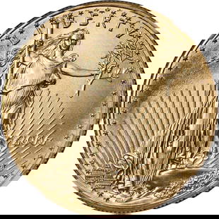 2006 Gold American Eagle $50 Coin NGC MS70 Brown Label: 2006 Gold American Eagle $50 Coin NGC MS70 Brown Label This 2006 Gold American Eagle $50 coin is certified by NGC with a perfect MS70 grade, indicating it is in uncirculated condition. Featuring a stu