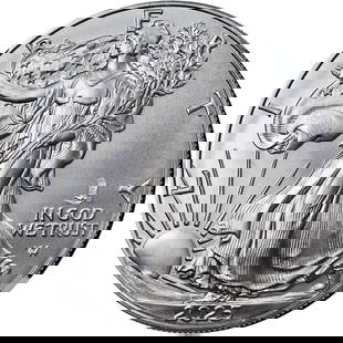 2025 Silver American Eagle $1 NGC MS69 First Eagle Privy Release: 2025 Silver American Eagle $1 NGC MS69 First Eagle Privy Release This 2025 Silver American Eagle is a stunning addition to any collection. Graded MS69 by NGC, this coin showcases exceptional quality a